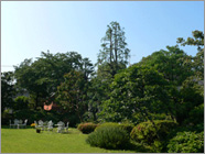 福祉・看護施設の庭園、緑化管理